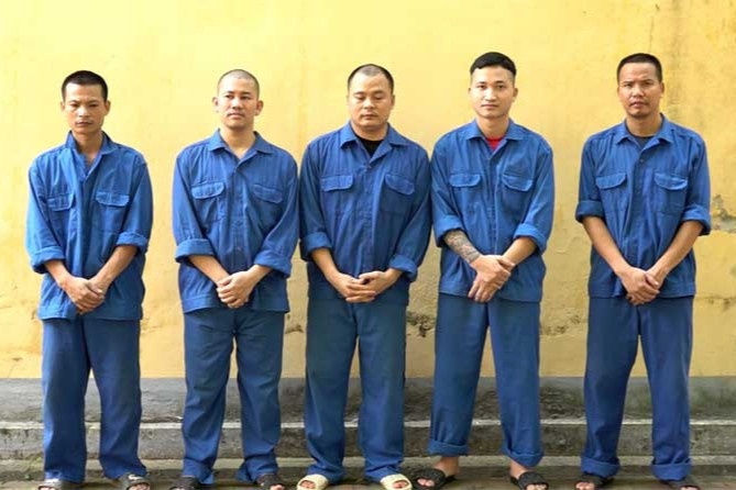 Triet pha duong day ca do quy mo hon 2.000 ty dong hinh anh