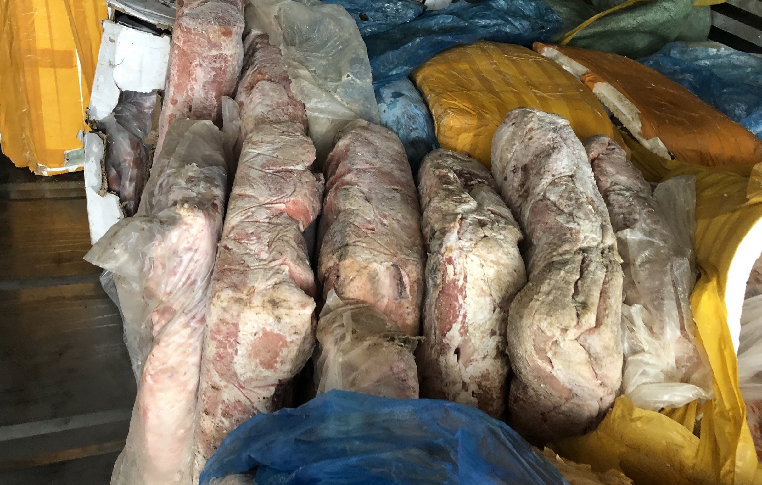 Phat hien 2 container chua thit, noi tang dong vat troi noi o TP.HCM hinh anh