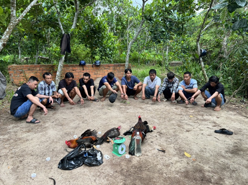 Tu diem danh bac anh 1