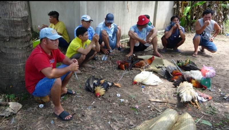 Triet pha soi bac anh 1