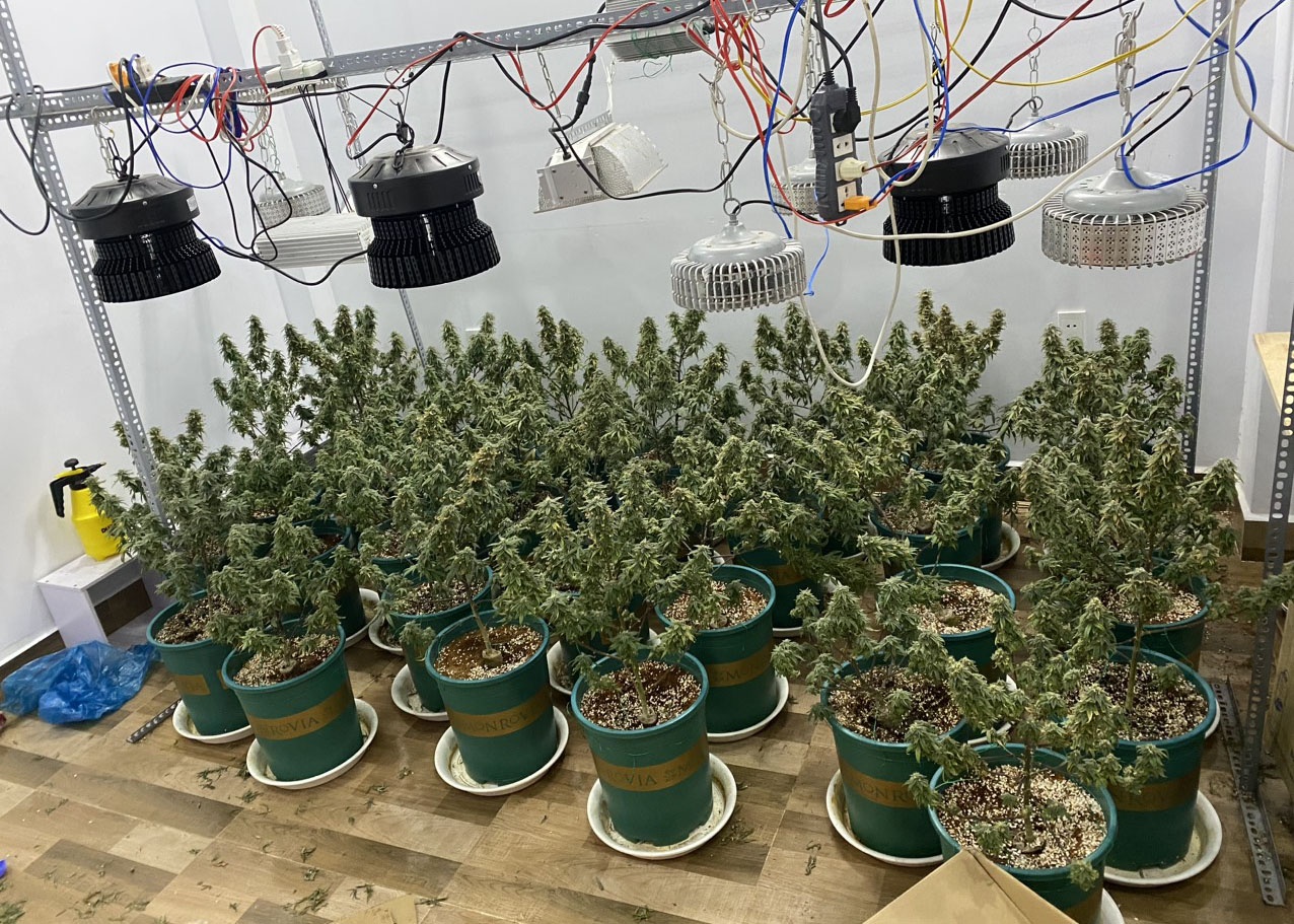 bat sung dan o TP.HCM anh 1