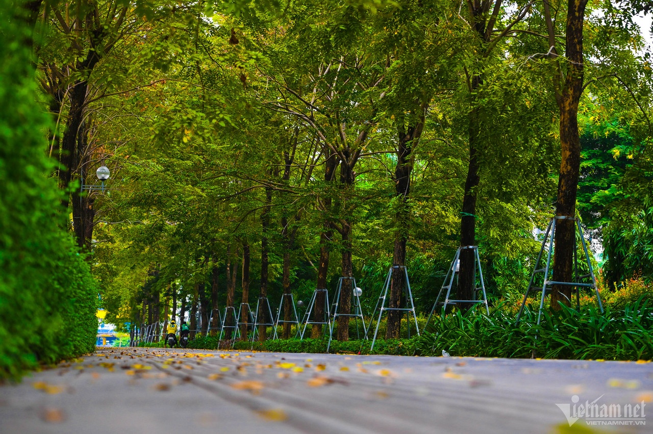 duong gianh cho xe dap anh 11