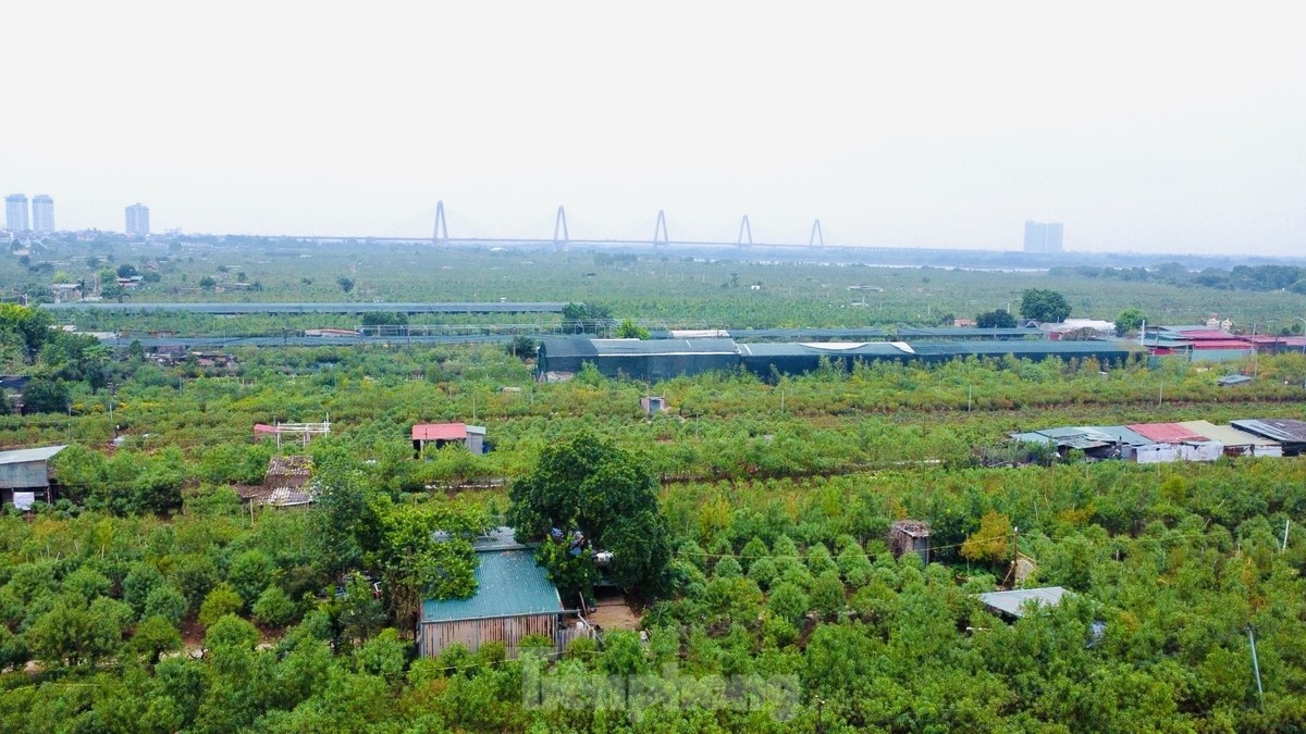 Lang dao Nhat Tan anh 7