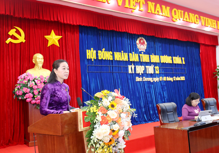 Nhieu cu tri kien nghi truoc ky hop thu 13 - HDND tinh Binh Duong hinh anh