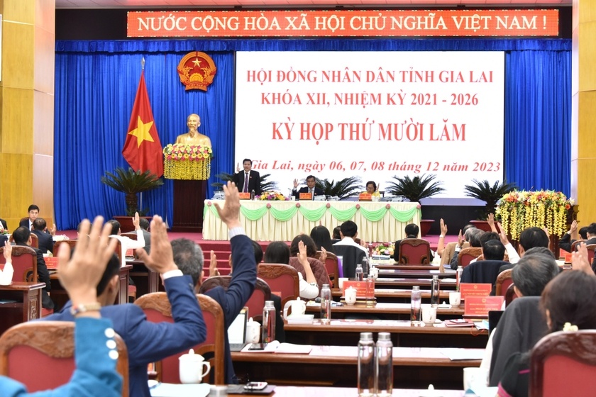 Cho thoi nhiem vu dai bieu HDND tinh Gia Lai doi voi ong Ho Van Diem hinh anh