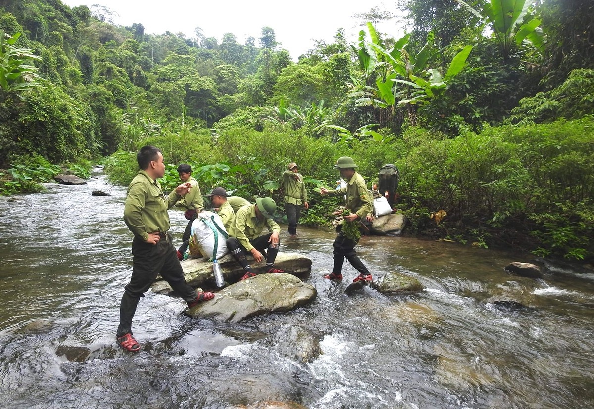 Vuon quoc gia Bu Mat anh 1