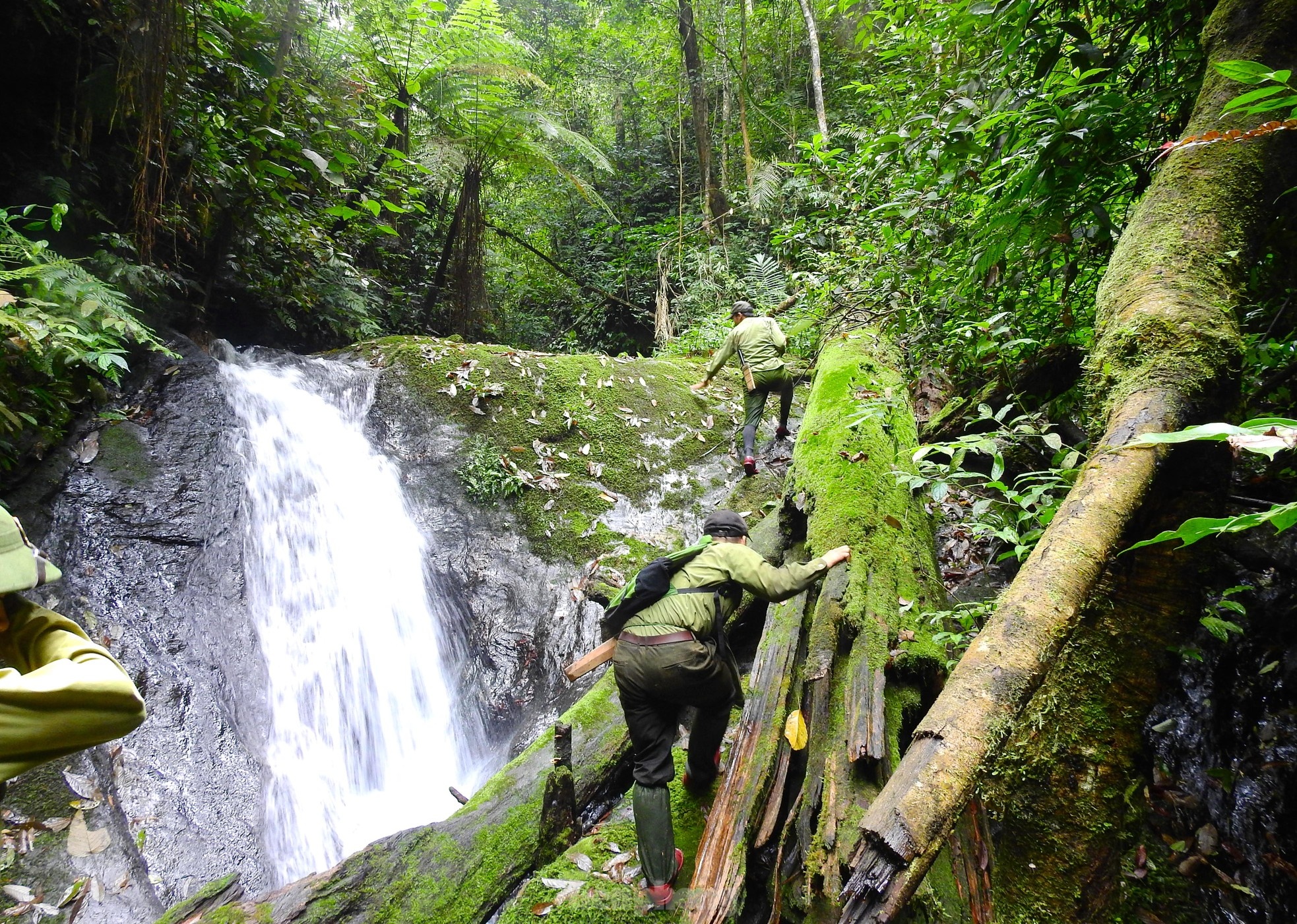 Vuon quoc gia Bu Mat anh 11