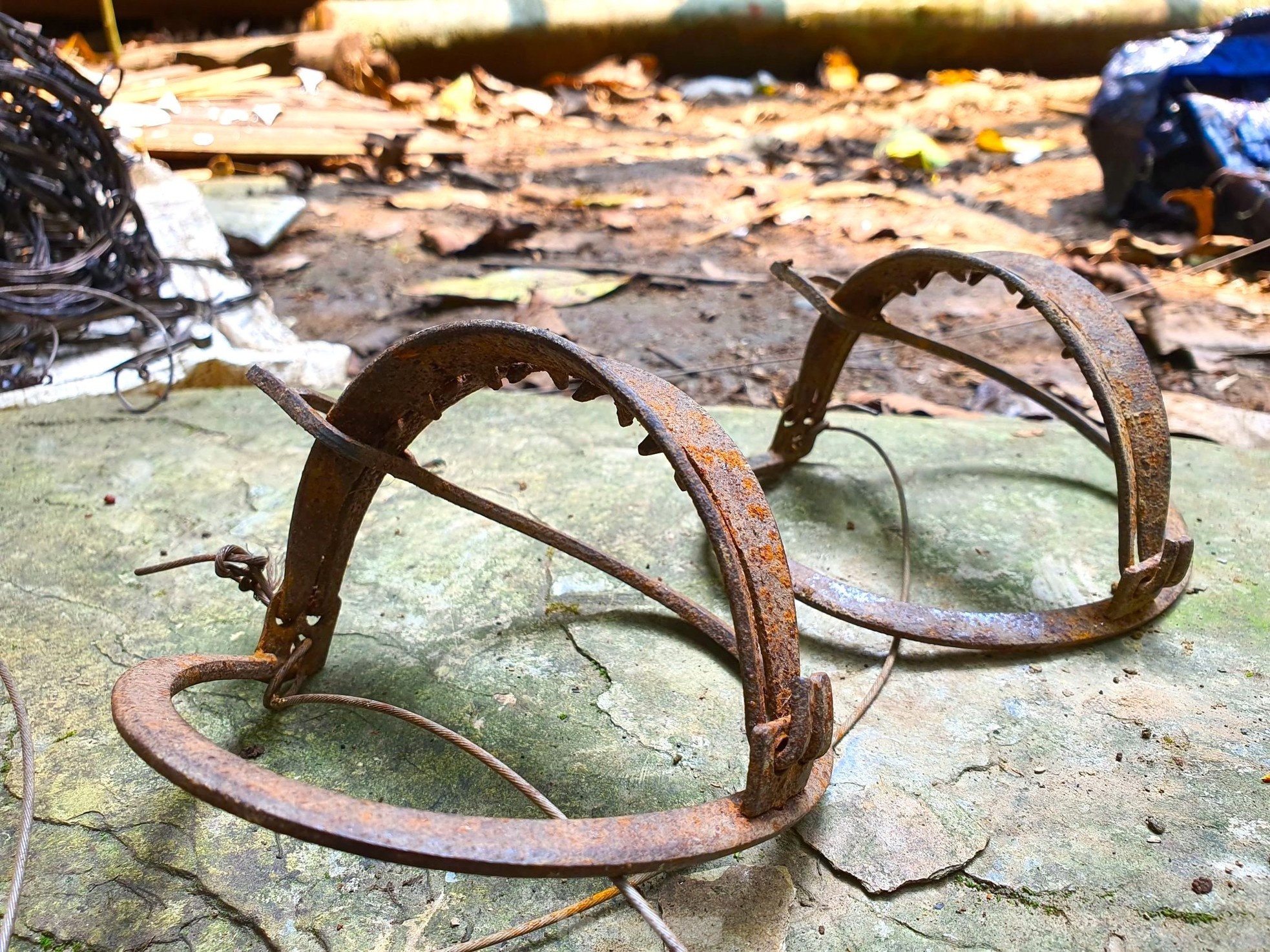 Vuon quoc gia Bu Mat anh 17