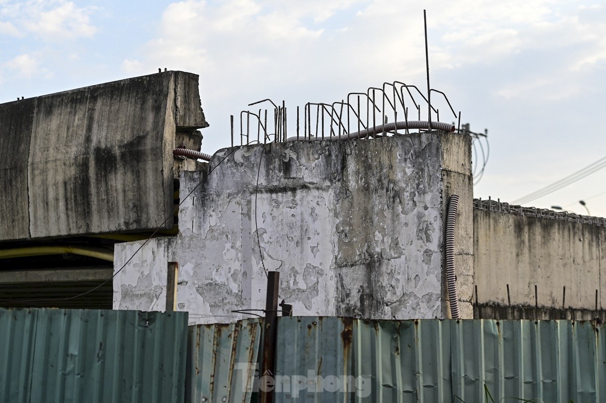 Cau Tan Ky Tan Quy anh 4