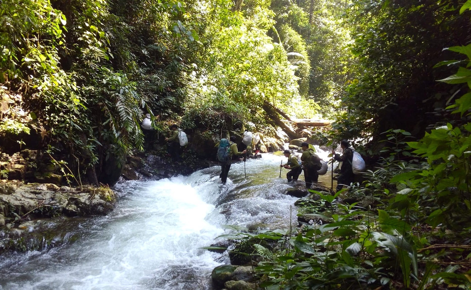 Vuon quoc gia Bu Mat anh 7