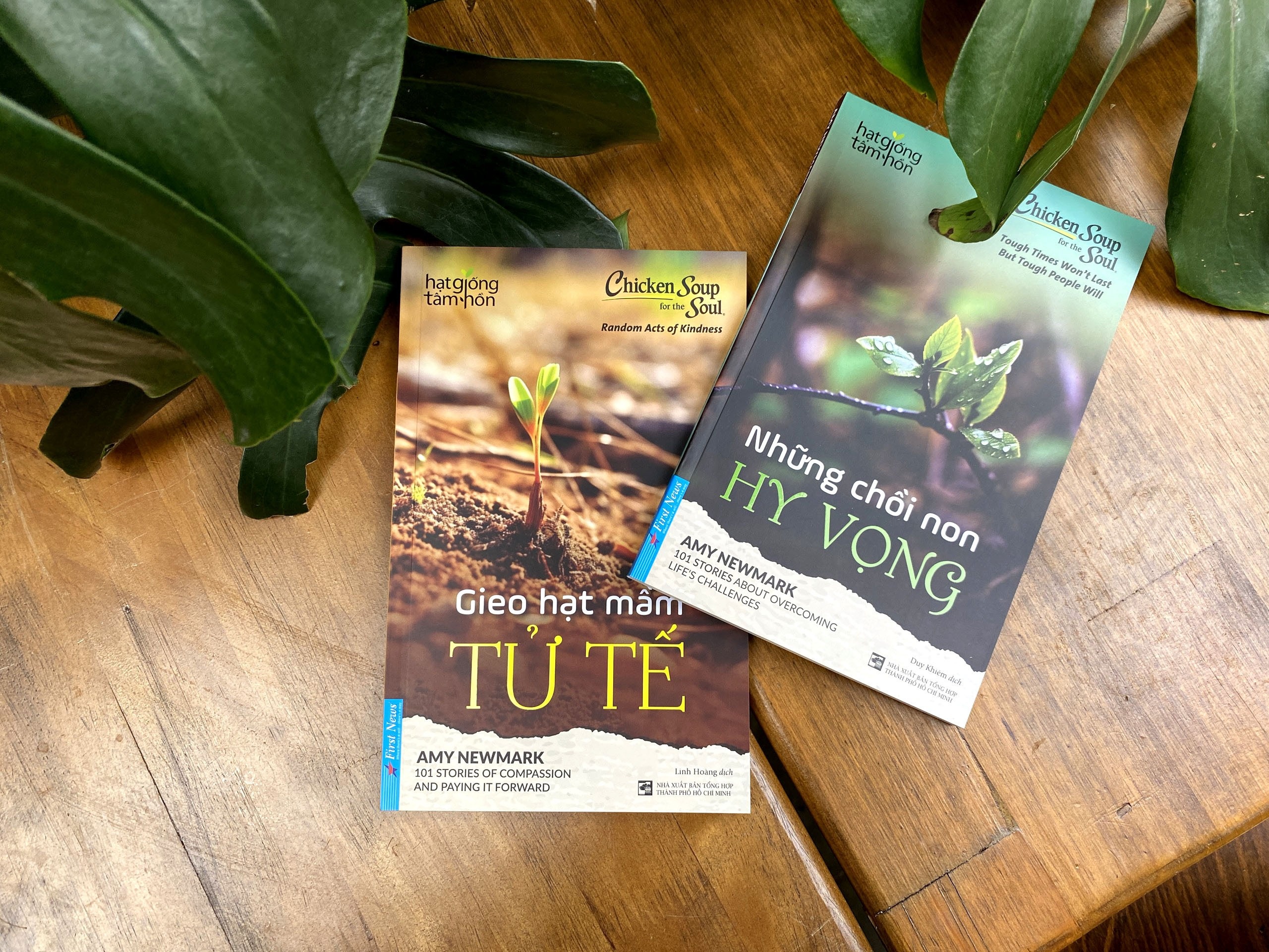 Gieo hat mam tu te va nhung choi non hy vong hinh anh