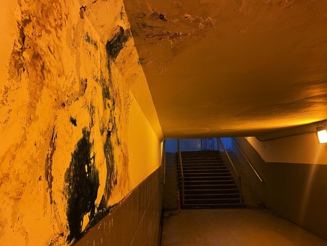 ham chui o TP.HCM anh 4