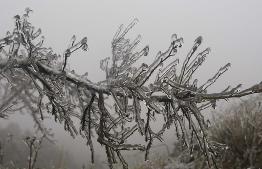 Du bao thoi tiet 19/12: Khong khi lanh rat manh, kha nang co bang gia hinh anh
