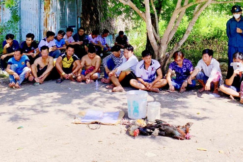 Triet xoa truong ga giua dam tom hinh anh
