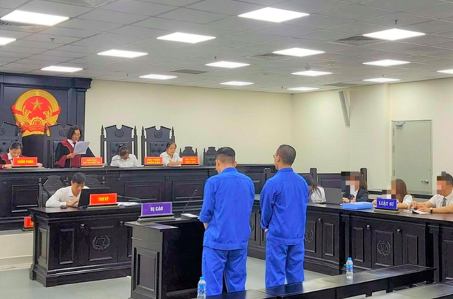 Toa cap cao xem xet don keu oan cua luat su bi tuyen an ve toi lua dao hinh anh