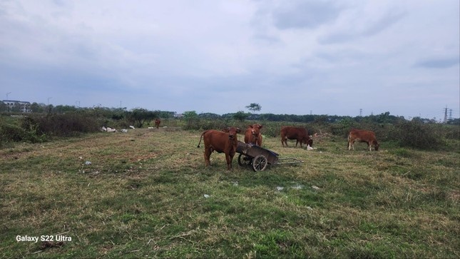 712 du an cham tien do: Nhieu vuong mac chua duoc thao go hinh anh