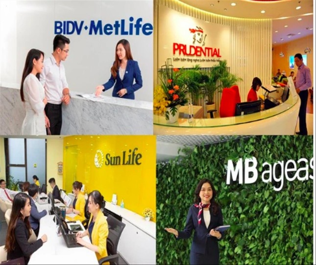 Thanh tra toan dien thi truong bao hiem hinh anh