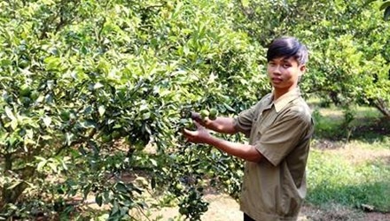 Nhung trieu phu nong dan 9X hinh anh