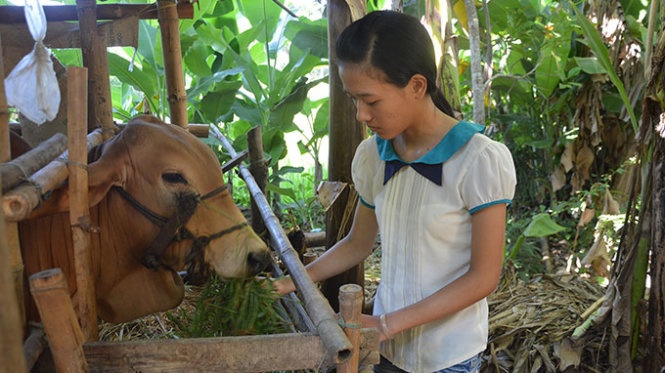 Vuot kho vao dai hoc: Theo duoi con chu den cung hinh anh