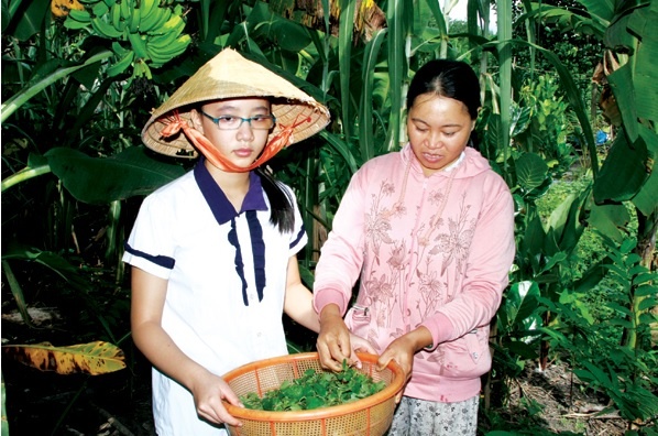 Co ban 10.0 hinh anh