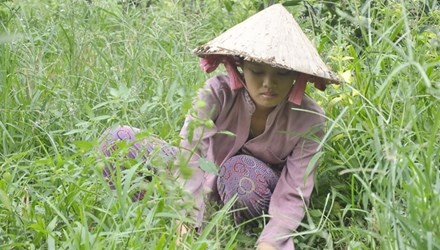 Nu sinh lam co thue kiem tien vao dai hoc hinh anh