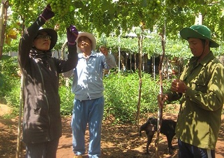 Khoi nghiep bang... nang hinh anh