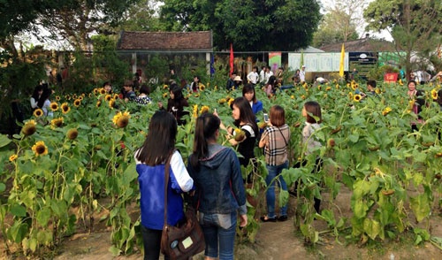 Di le, nam thanh nu tu pha nat vuon hoa nha chua hinh anh