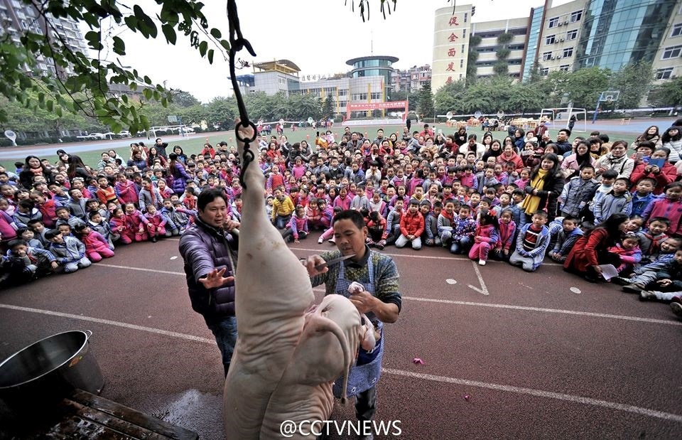 Truong tieu hoc 'trinh dien' mo lon de giao duc hoc sinh hinh anh