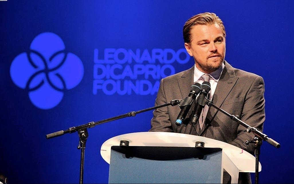 Leonardo DiCaprio vien tro 5 trieu USD cuu rung Amazon hinh anh