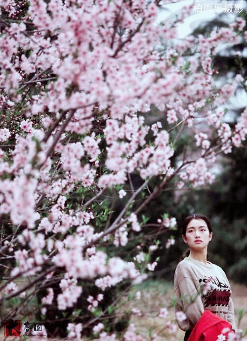 Nhan sac tinh khoi cua dien vien Cung Loi thoi tre anh 3