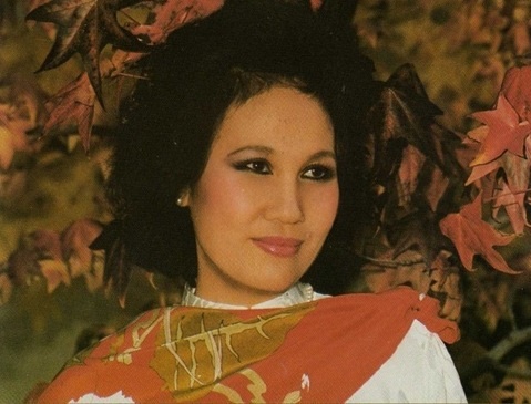 Giong hat vuot thoi gian cua danh ca Thai Thanh hinh anh