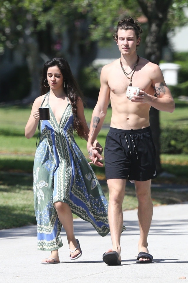 Shawn Mendes hon Camila Cabello anh 2