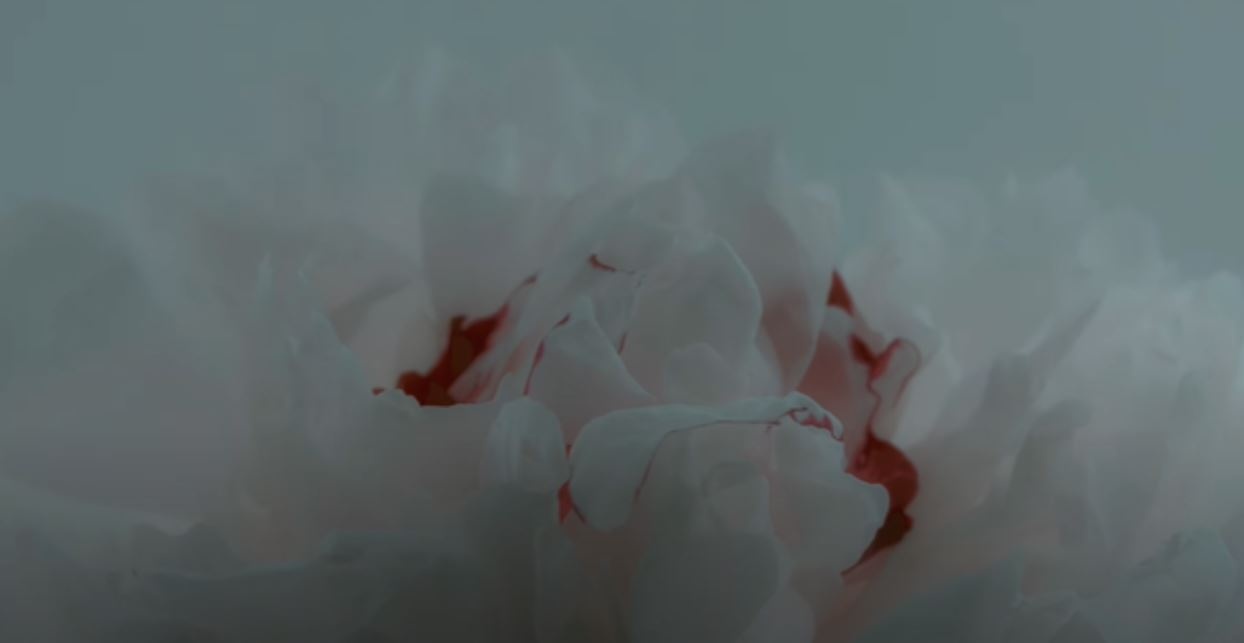 trailer MV Co chac yeu la day anh 2