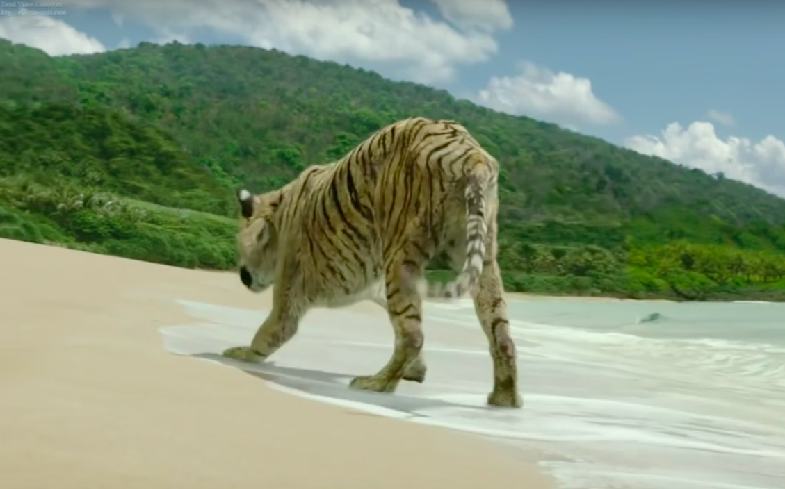 Canh cuoi cung trong phim Life of Pi hinh anh