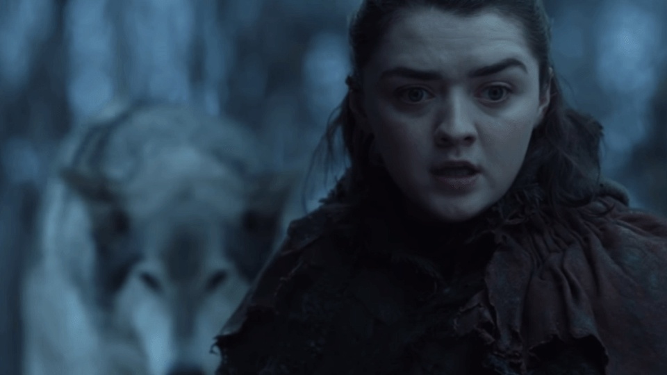 'Game of Thrones': Ly giai chi tiet soi Nymeria bo mac Arya Stark hinh anh