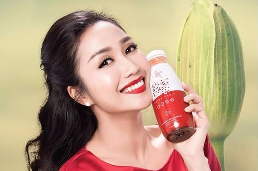 Sao Viet quang ba lo hang 11 ty: Nghe si phai co trach nhiem xa hoi hinh anh