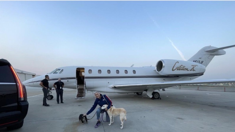 thu cung,  may bay,  du lich anh 3