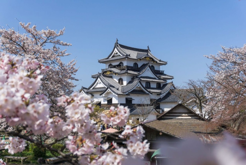 lau dai,  nguy nga,  Nhat Ban anh 10