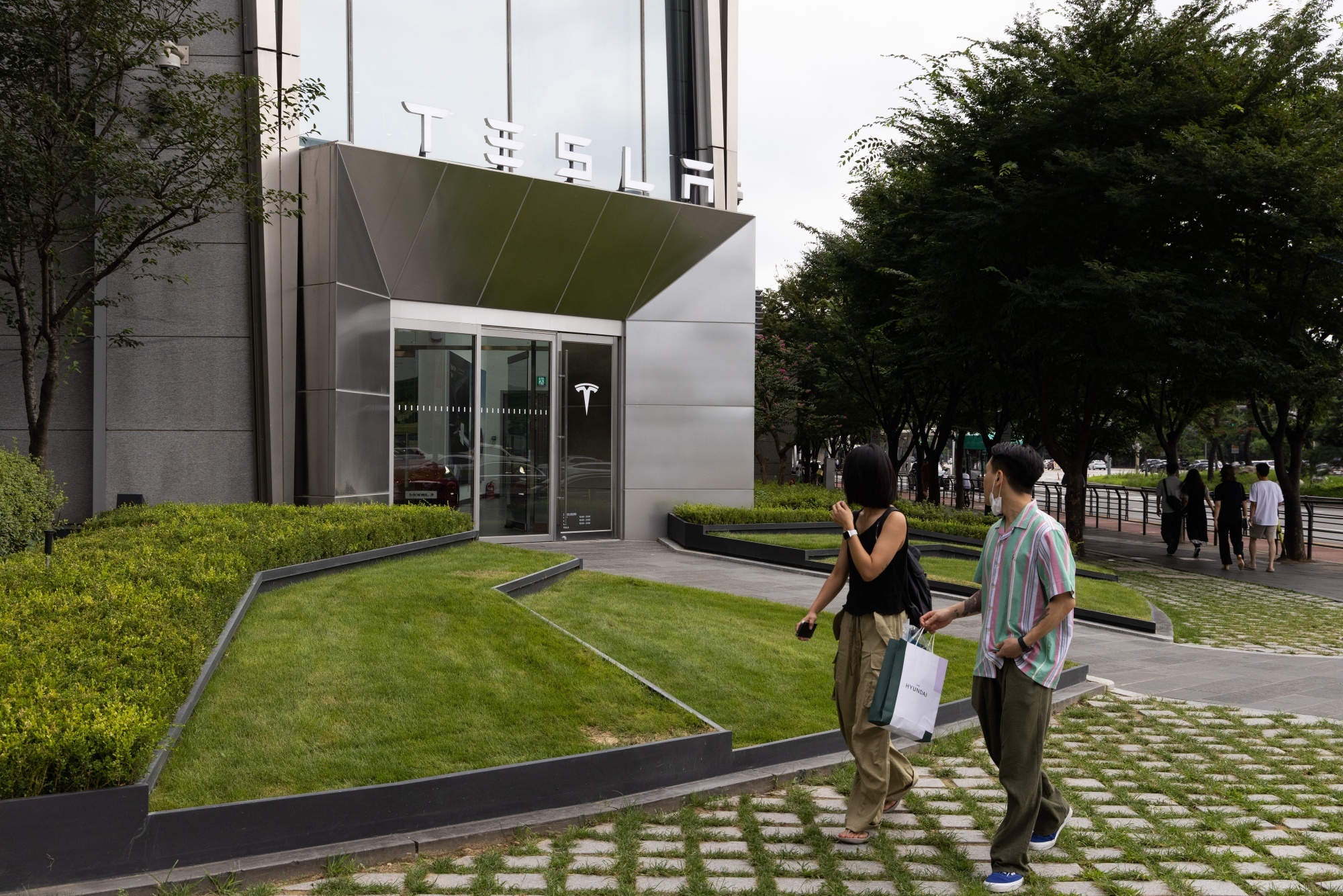 tesla elon musk anh 3