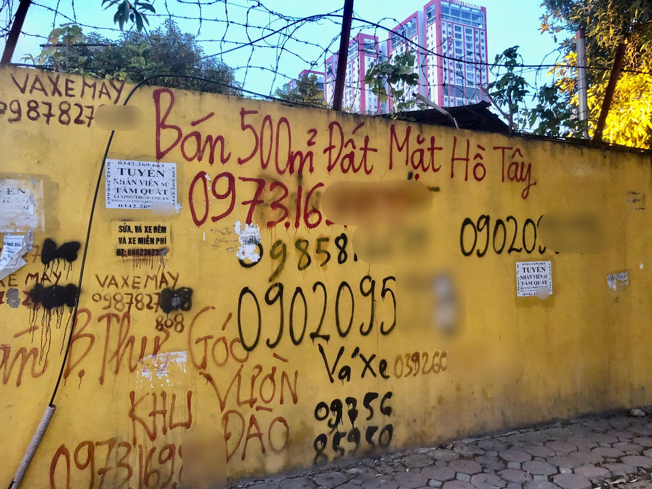 bds bat dong san anh 2