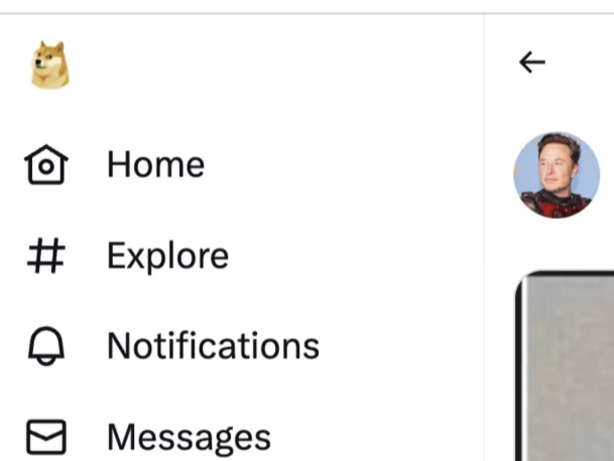 Dogecoin giam 9% sau khi Twitter tro lai logo cu hinh anh