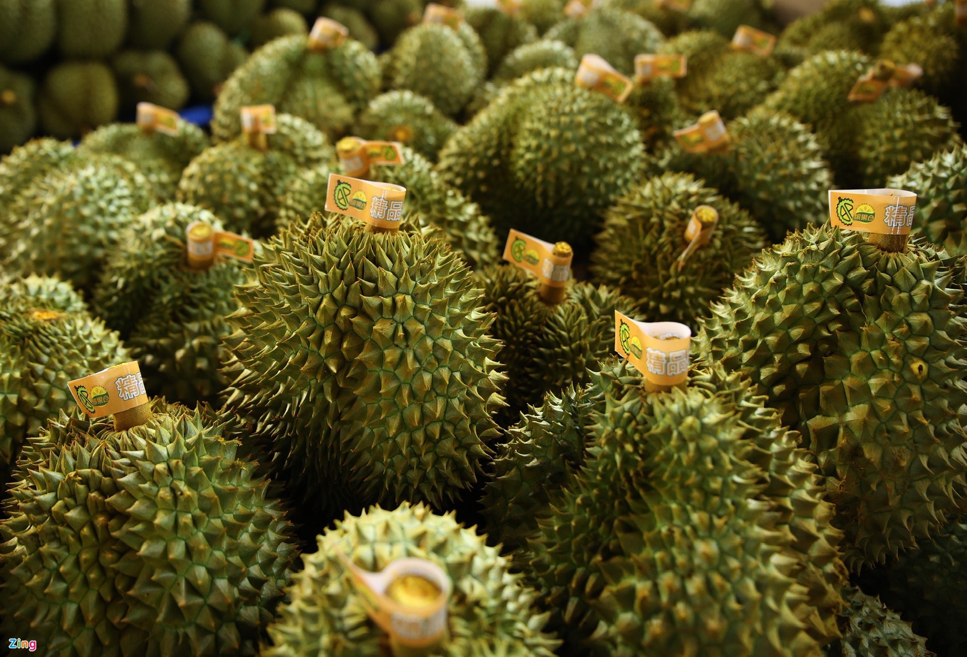 Tranh cai ve muc sieu loi nhuan cua ‘bat dong san’ sau rieng hinh anh