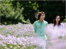 Mua he – Mua yeu thuong hinh anh
