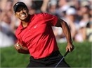 Tiger Woods vo dich U.S. Open hinh anh