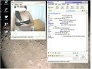 Khong sex, khong online hinh anh