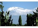 Leo nui Kilimanjaro hinh anh