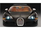 Bugatti va 15 chiec Veyron 'Mau den' hinh anh