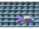 Wimbledon gian doan vi mua hinh anh