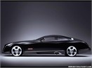 Maybach Exelero - Sieu xe sieu... dat hinh anh