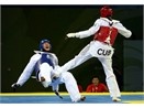 Don hiem cua Taekwondo hinh anh